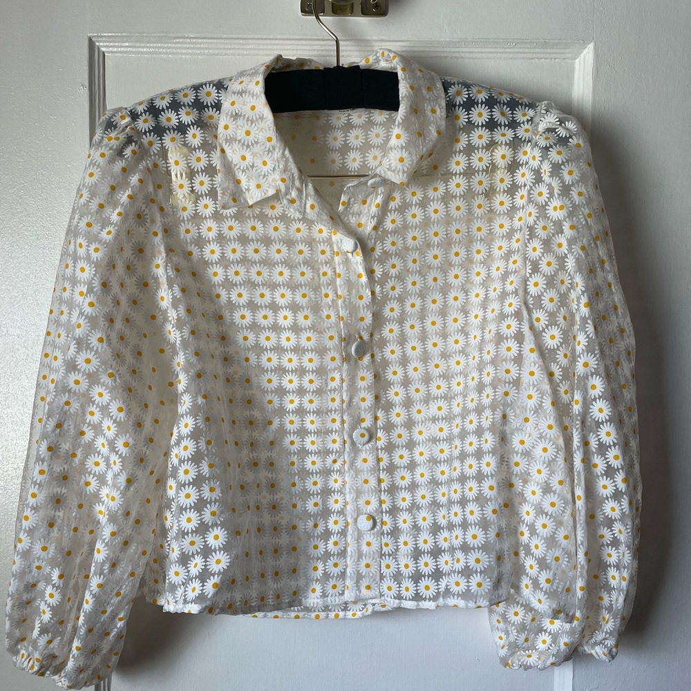 Zara Sheer Daisy Button-up Puff Sleeve collared Blouse